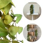 8 Pendentes Verde Claro Artificial De Alta Qualidade Com Apar