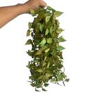 8 Pendentes Verde Claro Artificial De Alta Qualidade Com Apar