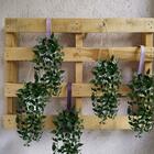 8 Pendentes Verde Escuro Artificial De Alta Qualidade Com Apa