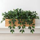 8 Plantas Artificiais Fícus Folha Realista Usada Para Criação