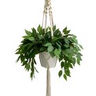 8 Plantas Artificiais Fícus Folha Realista Usada Para Criação