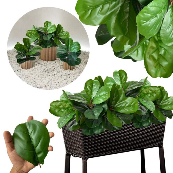 8 Plantas Permanentes Fícus Lyrata Broto Mini Árvore 45cm Com