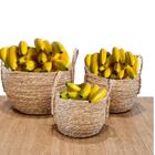 9 Bananas Cenográficas Em Poliestireno Frutas Decorativas Par