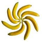 9 Bananas Cenográficas Em Poliestireno Frutas Decorativas Par