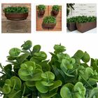 9 Buquês De Mini Eucalipto Artificial (54 Hastes Total) Ideal