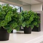 9 Buquês De Mini Eucalipto Artificial (54 Hastes Total) Ideal