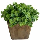 9 Buquês De Mini Eucalipto Artificial (54 Hastes Total) Ideal