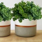 9 Buquês De Mini Eucalipto Artificial (54 Hastes Total) Ideal