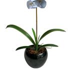 9 Galhos De Folhas De Orquídea Artificial Cymbidium Em Silico