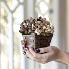 9 Mini Hortênsias Artificiais Flores Delicadas Na Cor Marrom