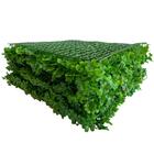 9 Painéis De Plantas Permanentes 60x40cm Folhagens De Alta Qu