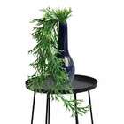 9 Pendentes Chifre De Veado Plantas Artificiais 75x25cm Folha