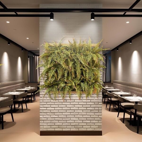 9 Samambaias Artificiais Realistas Para Decoração De Jardim D