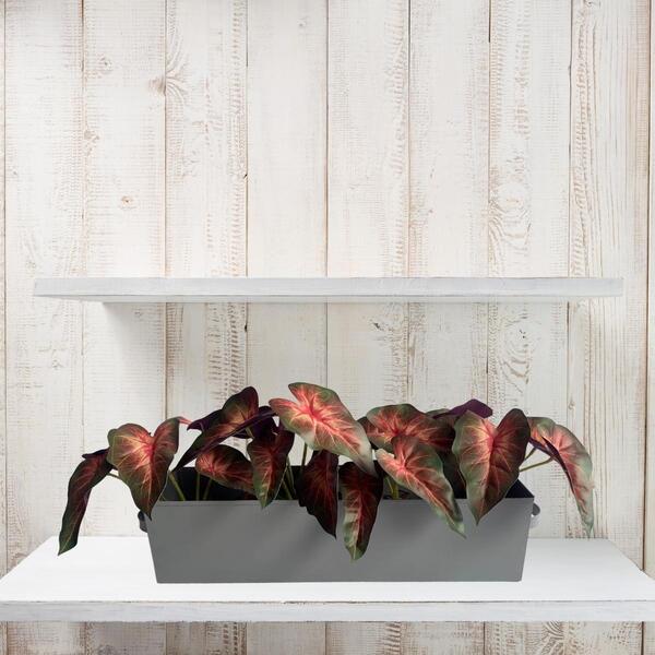 9 Singônios Artificiais Para Decoração Diy – Praticidade, Est