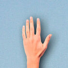 [16m²] Papel De Parede Arabesco Clássico - Pp224 Rolo De 16m2