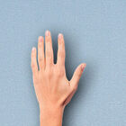 [16m²] Papel De Parede Arabesco Clássico - Pp224 Rolo De 16m2