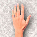 [16m²] Papel De Parede Floral Off-white - Pp233 Rolo De 16m2