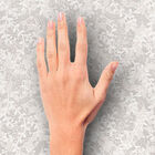 [16m²] Papel De Parede Floral Off-white - Pp233 Rolo De 16m2