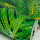 [16m²] Papel De Parede Folhas Tropicais - Pp320 Rolo De 16m2