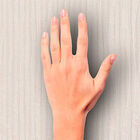 [16m²] Papel De Parede Linhas Boutique - Pp054-1 Rolo De 16m2