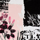 [16m²] Papel De Parede Moderno Olivia - Pp014 Rolo De 16m2