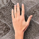 [16m²] Papel De Parede Pelo Larte - Pp170-2 Rolo De 16m2