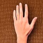 [16m²] Papel De Parede Texturizado Carnival - Pp080-1 Rolo De