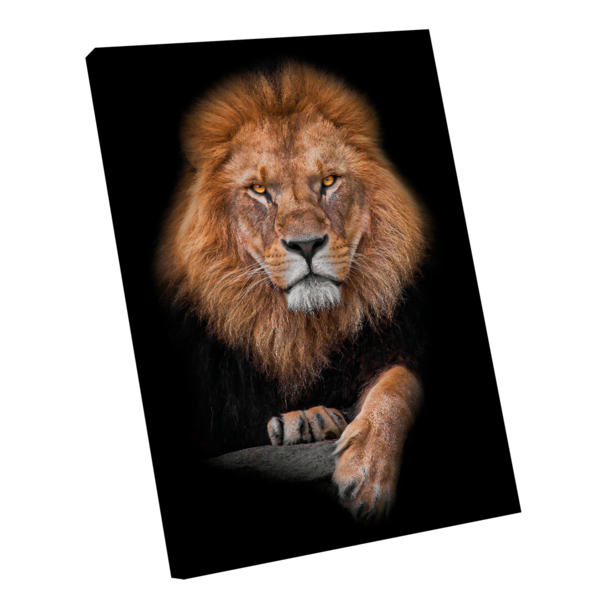 -18% Quadro Realeza Do Leão -- Br Artes Grande 118x78