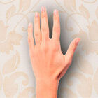 [5m²] Papel De Parede Arabesco Qiffany - Pp146 Rolo De 5m2