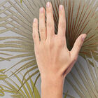 [5m²] Papel De Parede Folhas Tropicais - Pp404-1 Rolo De 5m2