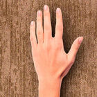 [5m²] Papel De Parede Texturizado Chloe - Pp116-3 Rolo De 5m2