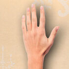 [7m²] Papel De Parede Barroco Feel - Pp120 Rolo De 7m2