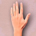 [7m²] Papel De Parede Barroco Feel - Pp122-2 Rolo De 7m2