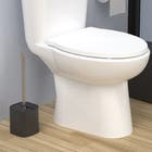  Escova Sanitaria Dual Preta Ou