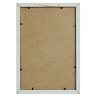  Quad 27X37 Tiger Color