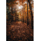 Abajur De Mesa Natural Folhas