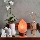 Abajur Luminária Terapêutica Sal Rosa Himalaia 1 ~ 2kg