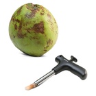 Abridor De Coco Inox - Descomplica 12 Cm - Brinox