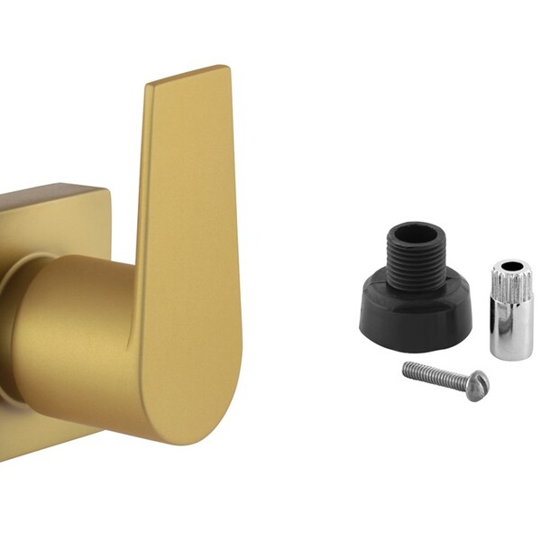 Acabamento De Registro Alavanca Dourado Fosco Padrão Docol