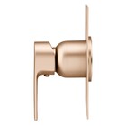 Acabamento Monocomando Chuveiro Bold Champanhe Fani