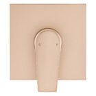 Acabamento Monocomando Chuveiro Bold Champanhe Fani