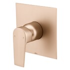 Acabamento Monocomando Chuveiro Bold Champanhe Fani