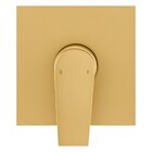 Acabamento Monocomando Chuveiro Bold Gold Fani