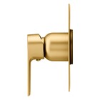 Acabamento Monocomando Chuveiro Bold Gold Fani