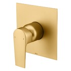 Acabamento Monocomando Chuveiro Bold Gold Fani