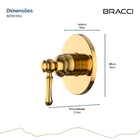 Acabamento Monocomando Chuveiro Clássico Dourado