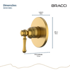 Acabamento Monocomando Chuveiro Clássico Dourado Escovado