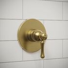 Acabamento Monocomando Chuveiro Clássico Dourado Escovado