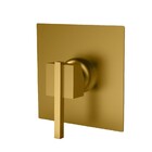 Acabamento Monocomando Chuveiro Eros Gold Fani