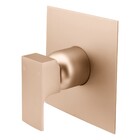 Acabamento Monocomando Chuveiro Retta Champanhe Fani